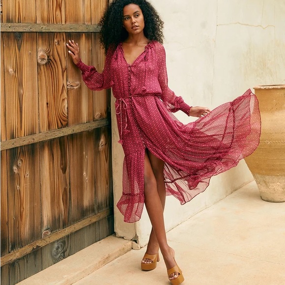 MISA Los Angeles Louisa maxi long sleeve sheer pink printed dress Size Medium